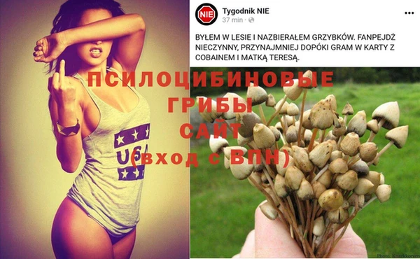 синтетический гашиш Беломорск