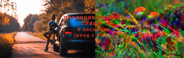 синтетический гашиш Беломорск